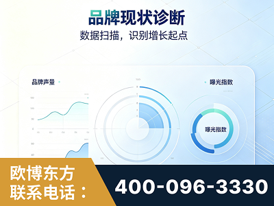 五大连池-品牌现状诊断